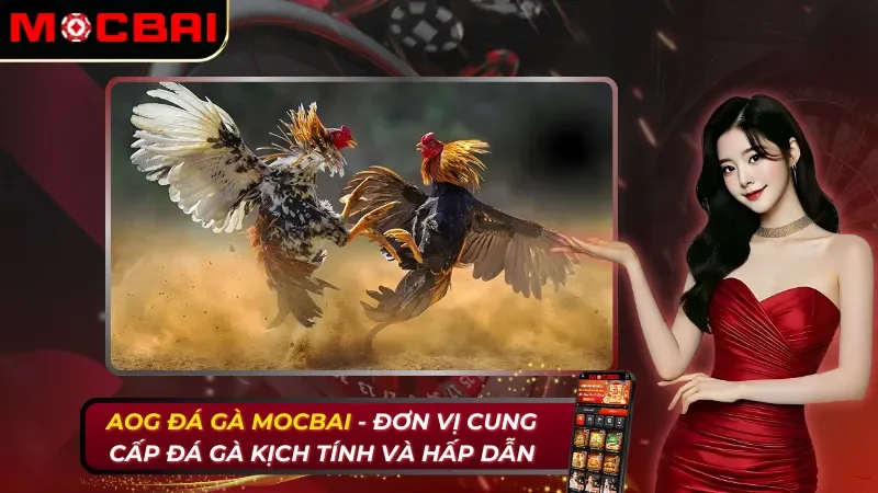 AOG Đá gà