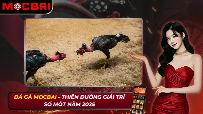 Đá Gà